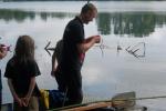 link
